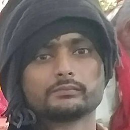 Sailntbuzz, ��������, 29 ���