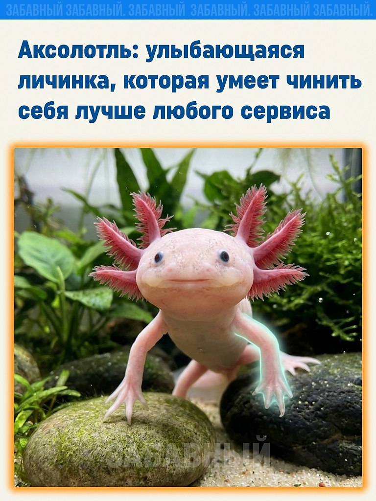 ��������� �������� ���, ����� ��� ��������� ����������, ����� �������� � ����� ������� ��������. ...