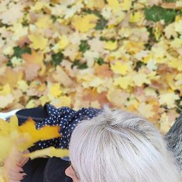 ���������, �����