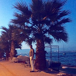 ������, ������, 51 ���