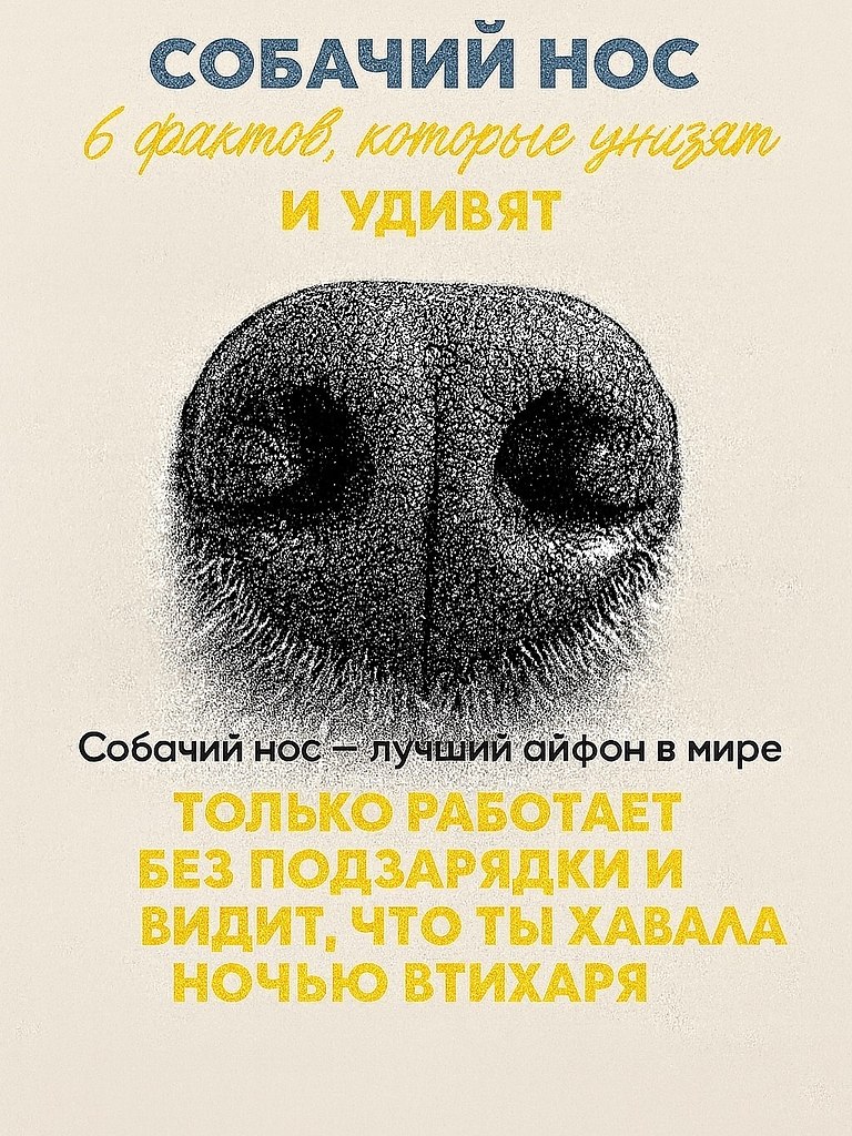       , Google       .    ...