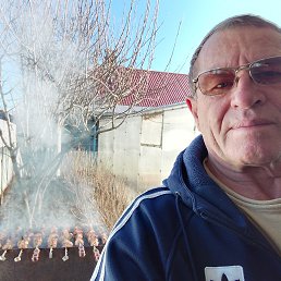 , 65 , 