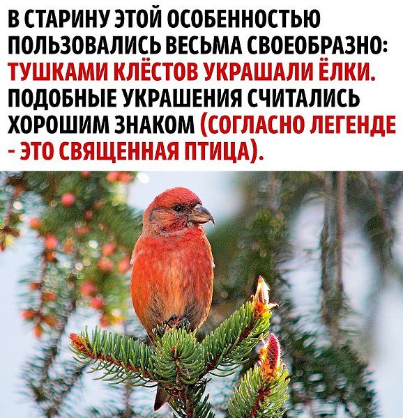      - 3