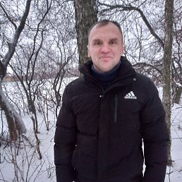 ���� ������, ���, 42 ���� - ��������� 2 ������ 2024