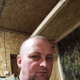 , 43, 