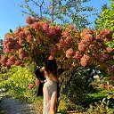 ���� ����, ����������� - ��������� 12 ������ 2025 � ������ ���� ����������