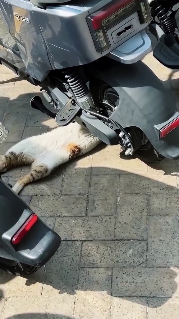 � ������� ���� ����������) - 2