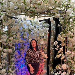 ���� �����, ��������� - ��������� 7 ����� 2025