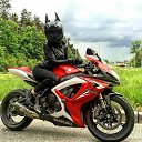 ���� ����, ����������, 39 ��� - ��������� 3 ������� 2026 � ������ ���� ����������
