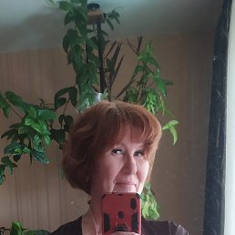 ���� �������, ����, 60 ��� - ��������� 7 ������ 2026