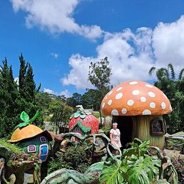 Hand, ������, 28 ���