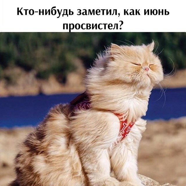   - 5  2025  23:24