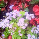 ���� �������, �����, 49 ��� - ��������� 19 ������ 2024 � ������ ���� ����������