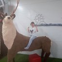 ���� �������, ���������, 44 ���� - ��������� 5 ���� 2026 � ������ ���� ����������