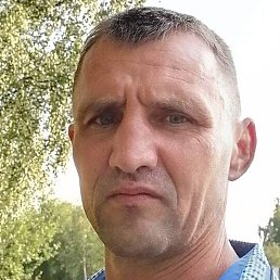 ���������, ��������, 41 ���