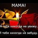 ���� N, ������� - ��������� 29 ������� 2025 � ������ ������ ��������