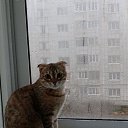 ���� ����, ����� - ��������� 6 ������� 2025 � ������ ������ ��������