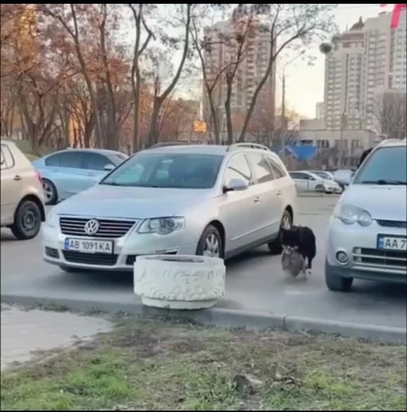 ����� ������ �������. ��������� ���, ��� � ���� ���������! - 2