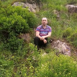 �������, ������, 46 ���