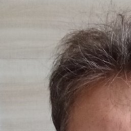 �����, ���������, 59 ���