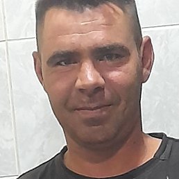 ������, �����, 36 ���