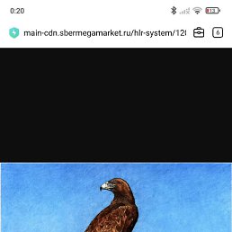 �����, �����, 36 ���