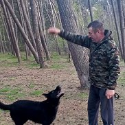 ����, 59 ���, �����������