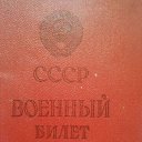 ���� ��� 100, ������, 49 ��� - ��������� 29 ������� 2023 � ������ ���� ����������