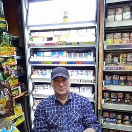 ����, �������, 48 ���