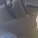 ���� ����, ��������, 54 ���� - ��������� 5 ��� 2026 � ������ ���� ����������