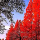 ���� ������, ������, 29 ��� - ��������� 10 ������� 2024 � ������ ���� ����������