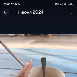 ���� ����, ���������, 38 ��� - ��������� 26 ���� 2024