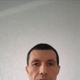 , 42, 