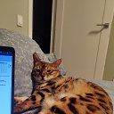 ���� �������, ������� - ��������� 7 ������� 2025 � ������ ������ ��������