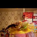 ���� �������, ������, 48 ��� - ��������� 3 ������� 2025 � ������ ���� ����������