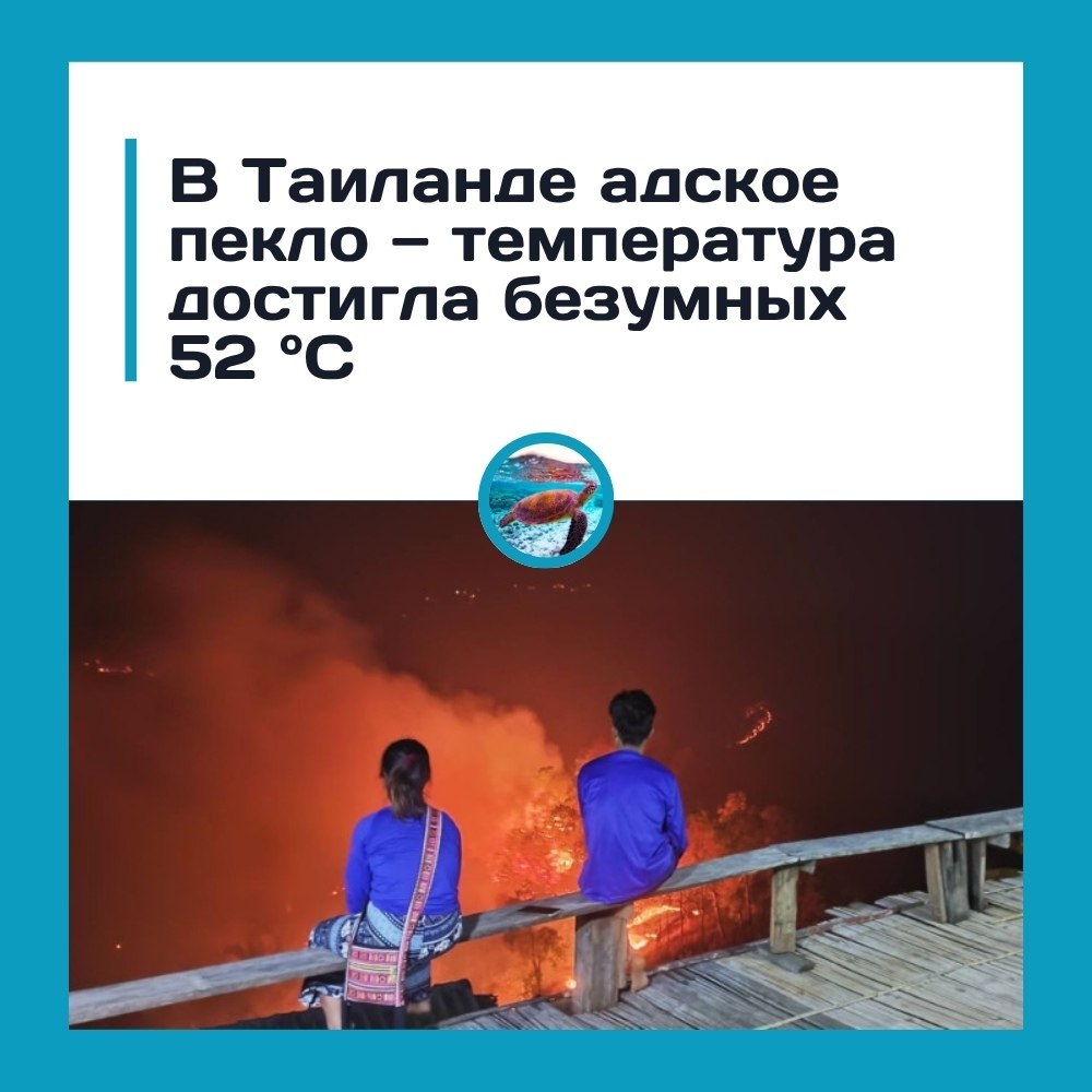 �a��a��e �apa ���e�e�a �o ��c�pe�a����� ��a�e���. �a���o�e o������� ��pa��e o�ac��� �po�e��� �ap�. ... - 3