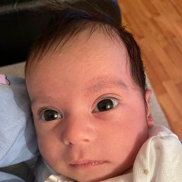 �������, �����, 49 ���