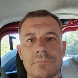 , 44, 