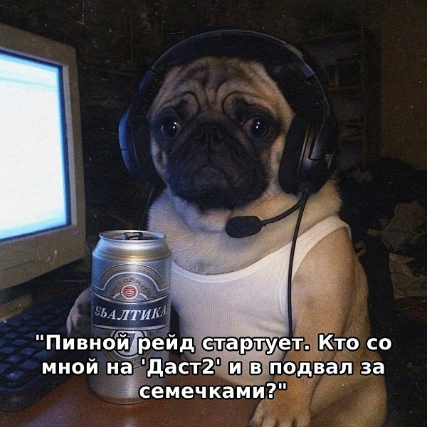 Специально для тебя и твоей команды — уникальные аватары, которые привлекают внимание - 2
