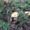 ���� �, ������������, 61 ��� - ��������� 28 ������� 2025