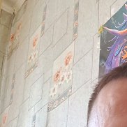 �����, 41 ���, ������