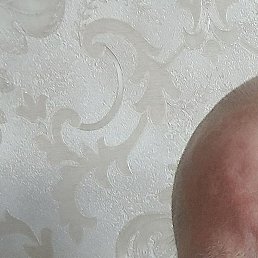 �������, ���������, 53 ����