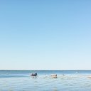  Igor, -, 59  -  18  2025    