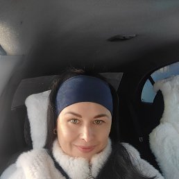 , 40, 