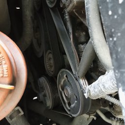 ���� �������, ������, 44 ���� - ��������� 17 ����� 2024