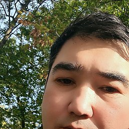 , 37, 
