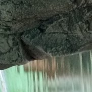 �������, 23 ����, ������