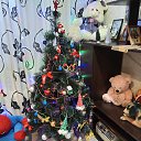 ���� ������, ���������� - ��������� 17 ������� 2025 � ������ ������ ��������