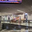 ���� ������ �����, �������, 55 ��� - ��������� 23 ������� 2025 � ������ ������ �� ����