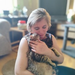 �����, ���������, 52 ����